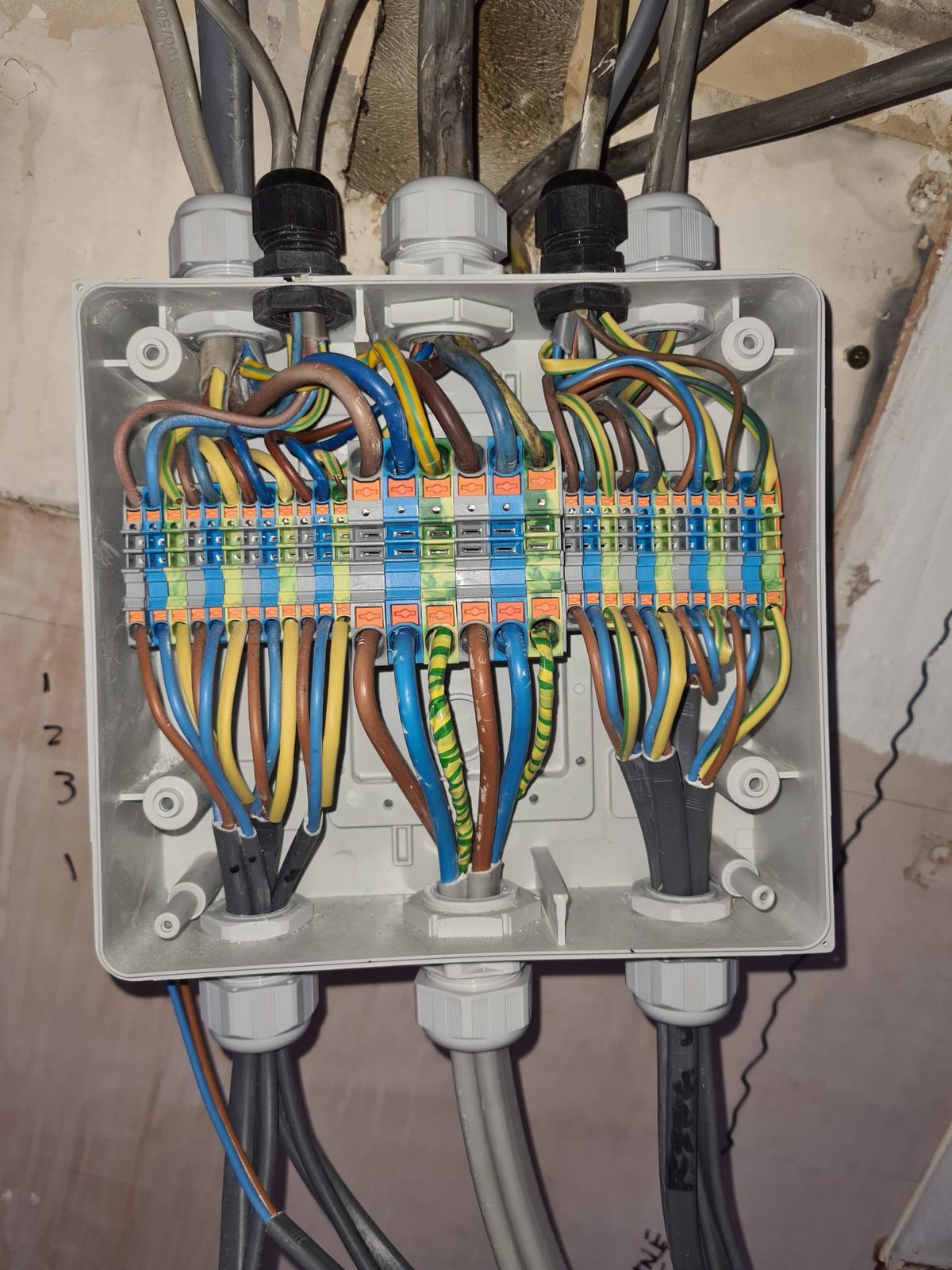 Junction box with neatly terminated wiring by Z Electricals
